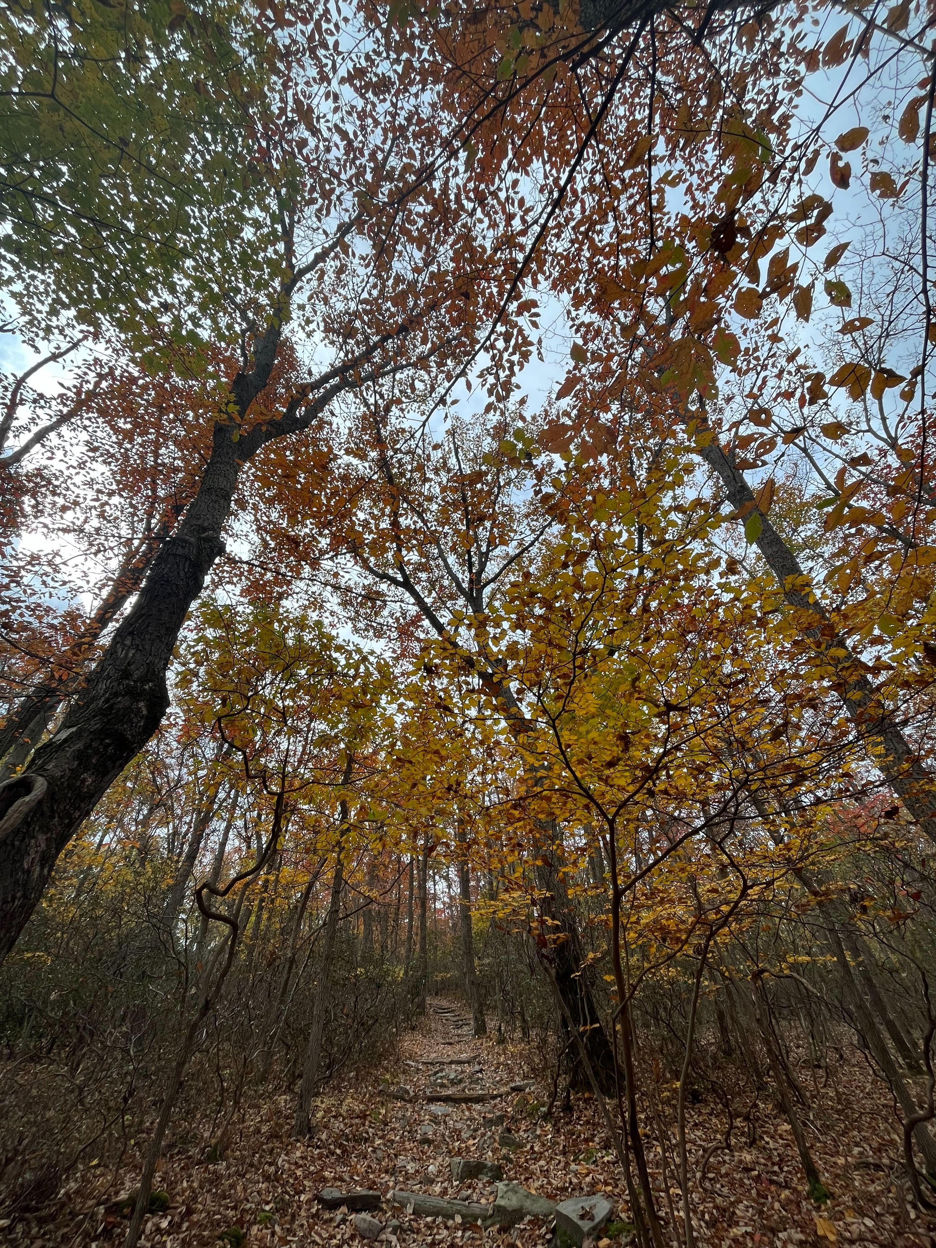 hiking trail